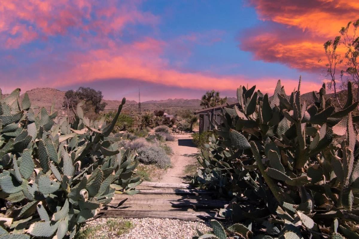 Renovated Lodge - Room 1 With Pool Access Joshua Tree Luaran gambar
